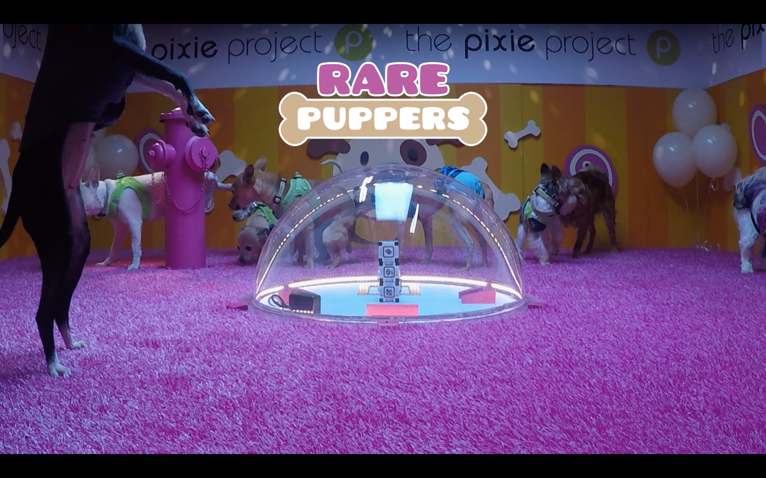 Cozmo stream screenshot