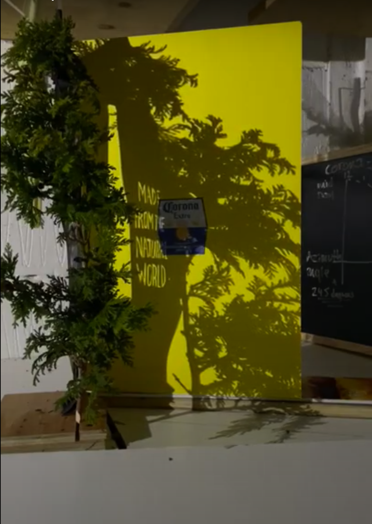 Corona Natural Billboard installation